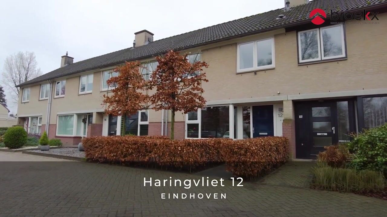 Bekijk video van Haringvliet 12