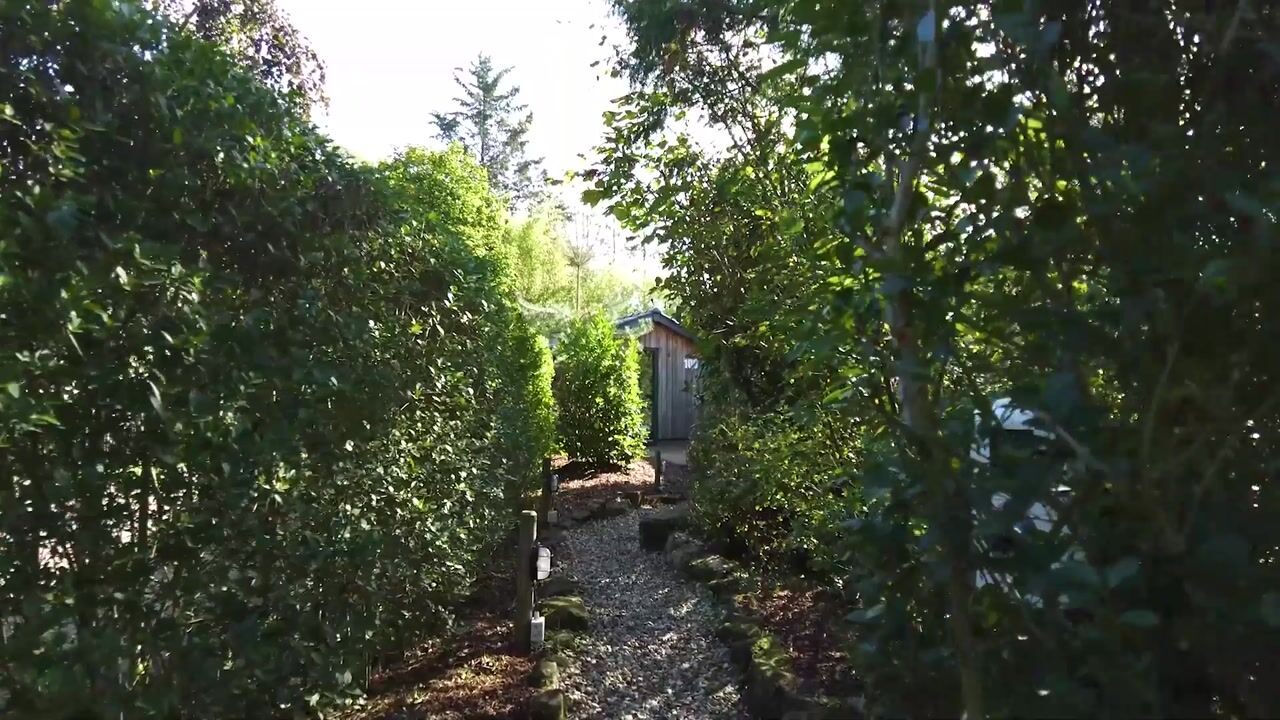 Video van Veldhaarweg 100