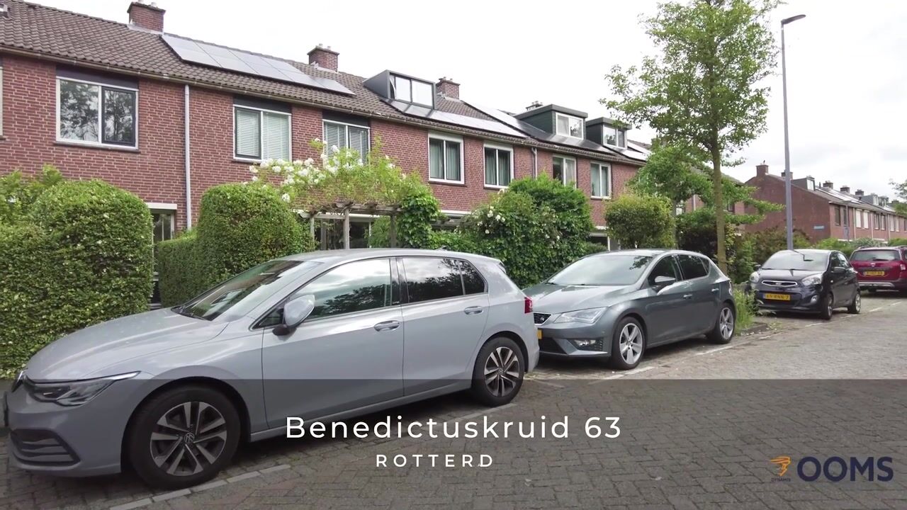 Video van Benedictuskruid 63