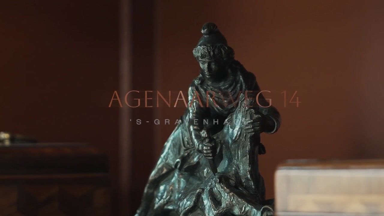 Video of Wagenaarweg 14