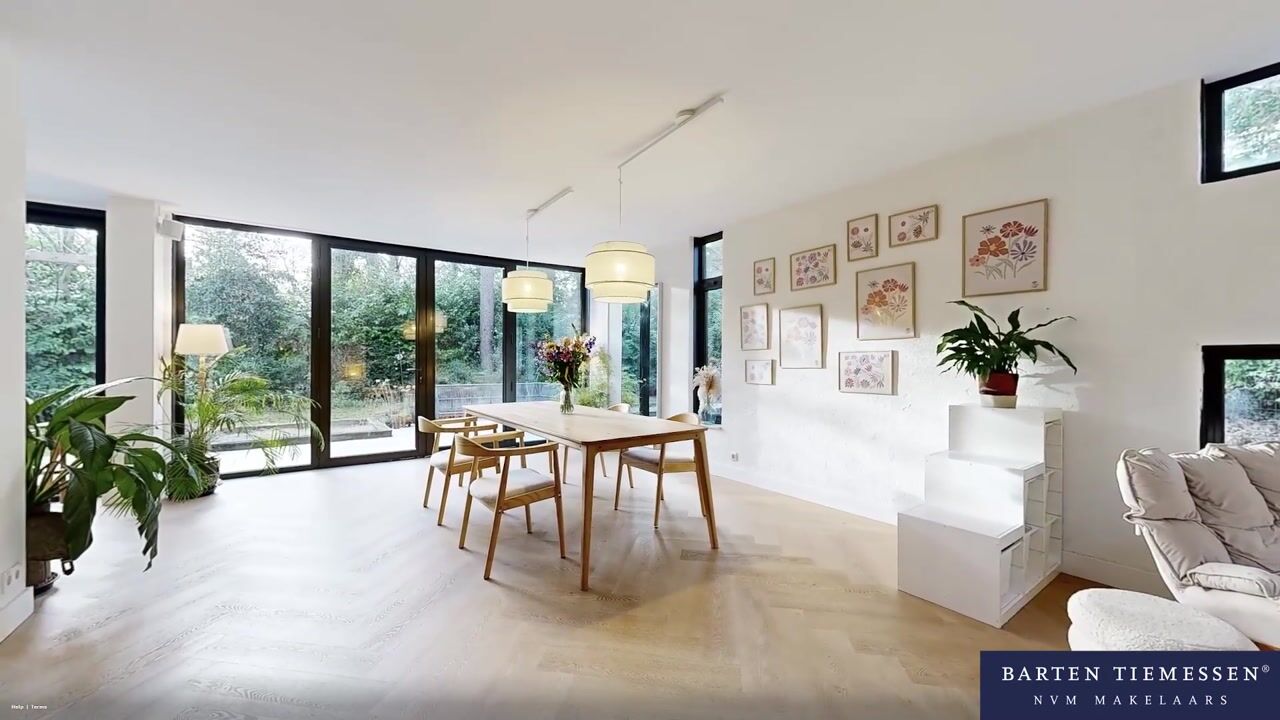 Video van Hamsterlaan 7