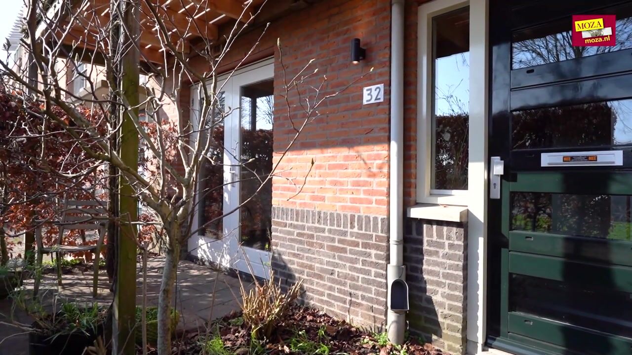 Video of Veldbeemdgras 32