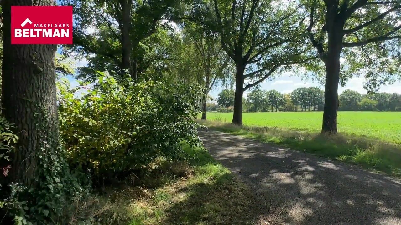 Video van Toldijk 3
