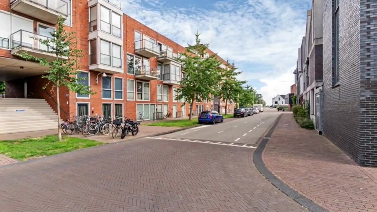 Video van Veluwemeer 50