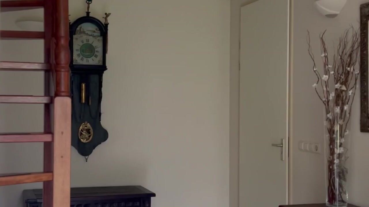 Video van Westfriesedijk 44