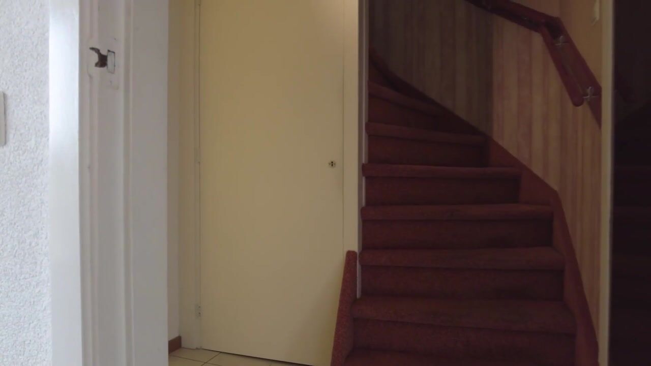 Video van Windhalm 1