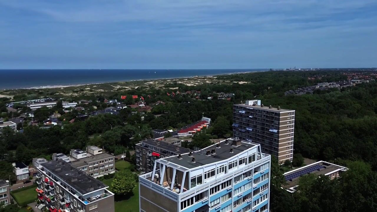 Video van Ericalaan 169