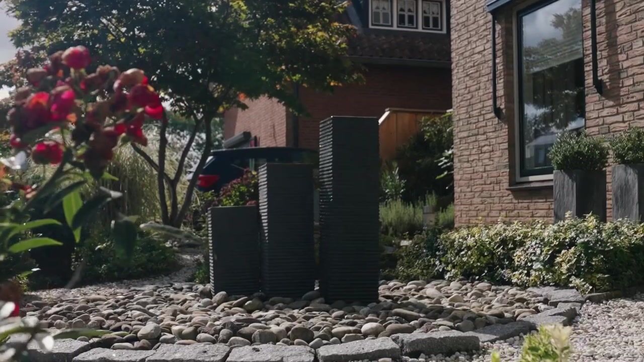 Video van de Klauwier 3