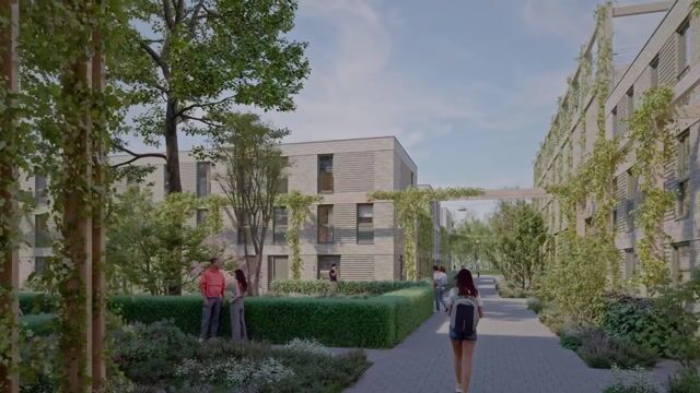 View video of Ivoordreef | Fase 1