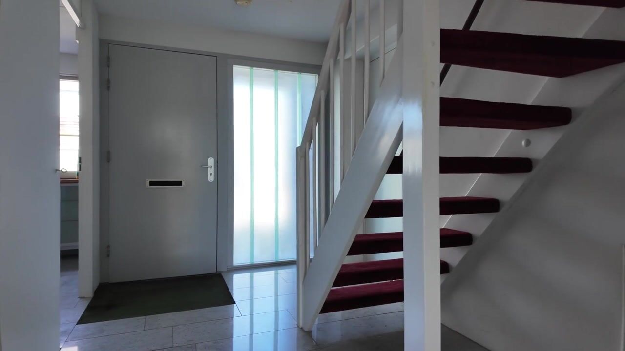Video van Spijksterriet 8