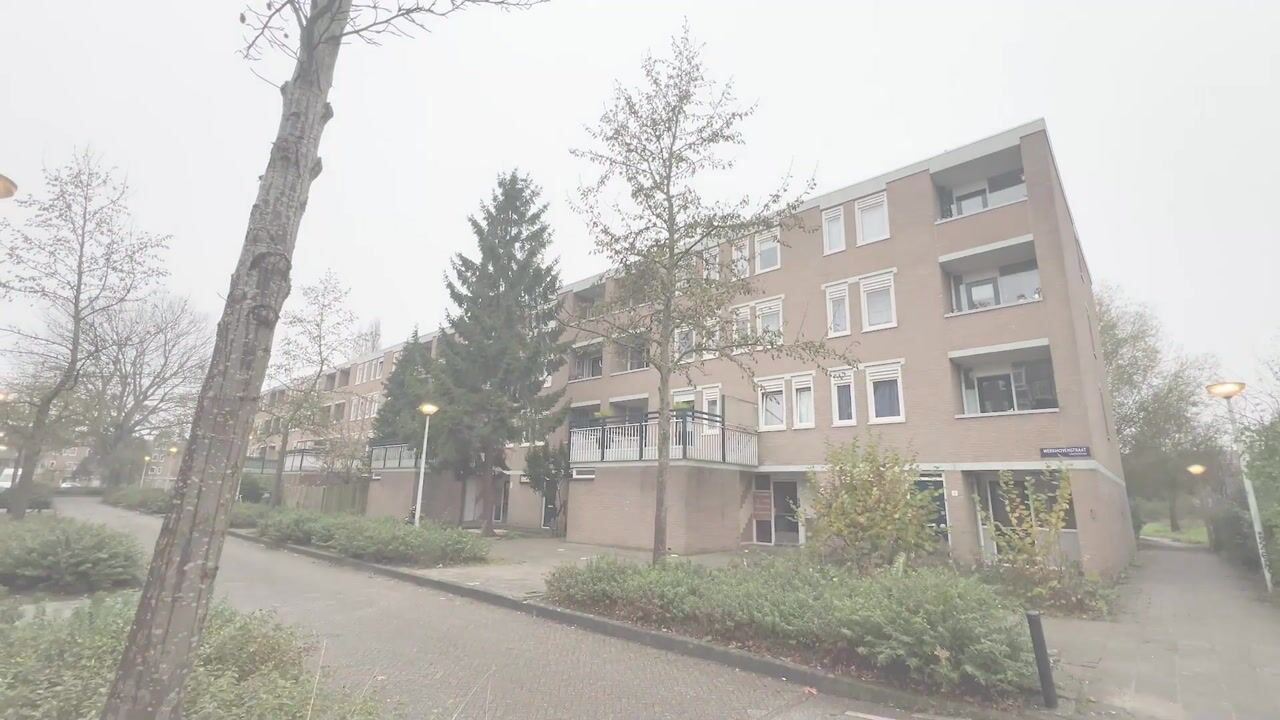 Video van Werkhovenstraat 2