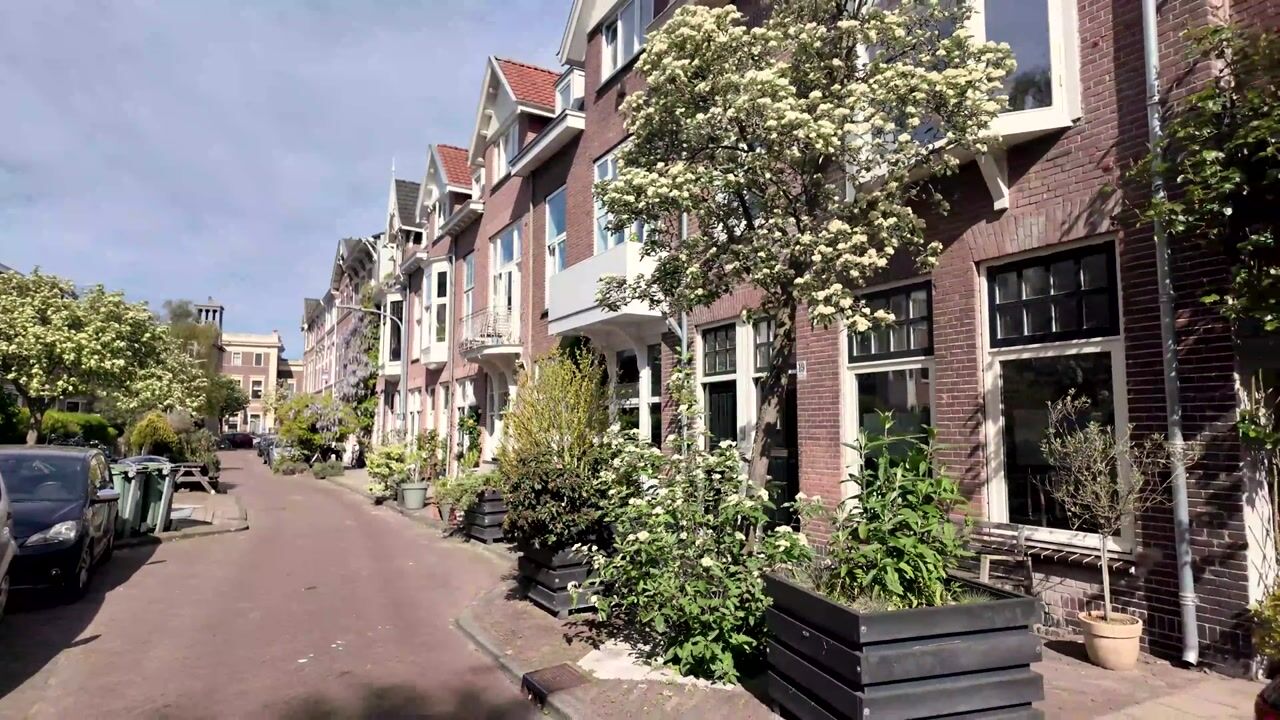 Video van Bloemhofstraat 19-ZW