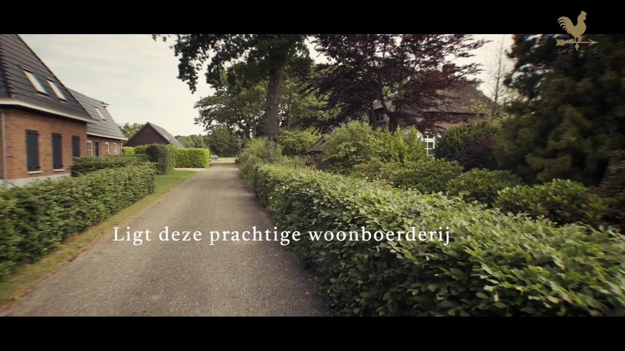 Video van Westeinde 110