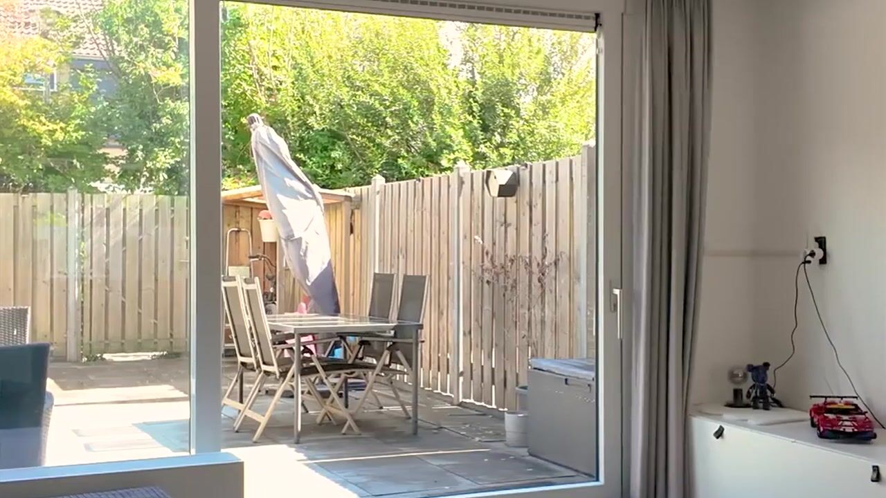Video van Roodborst 41