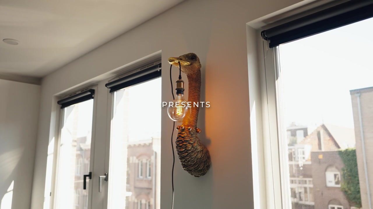 Video of Sint Willibrordusstraat 16-C