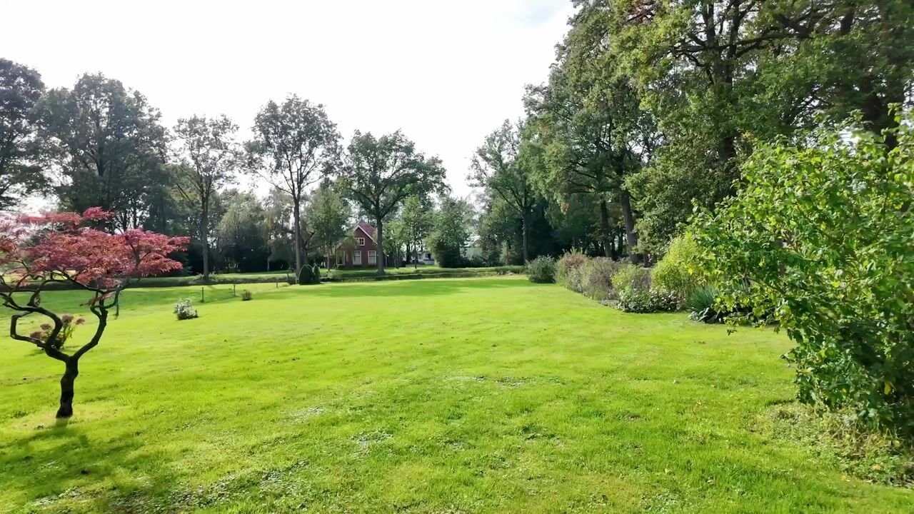 Video van Mandewyk 25