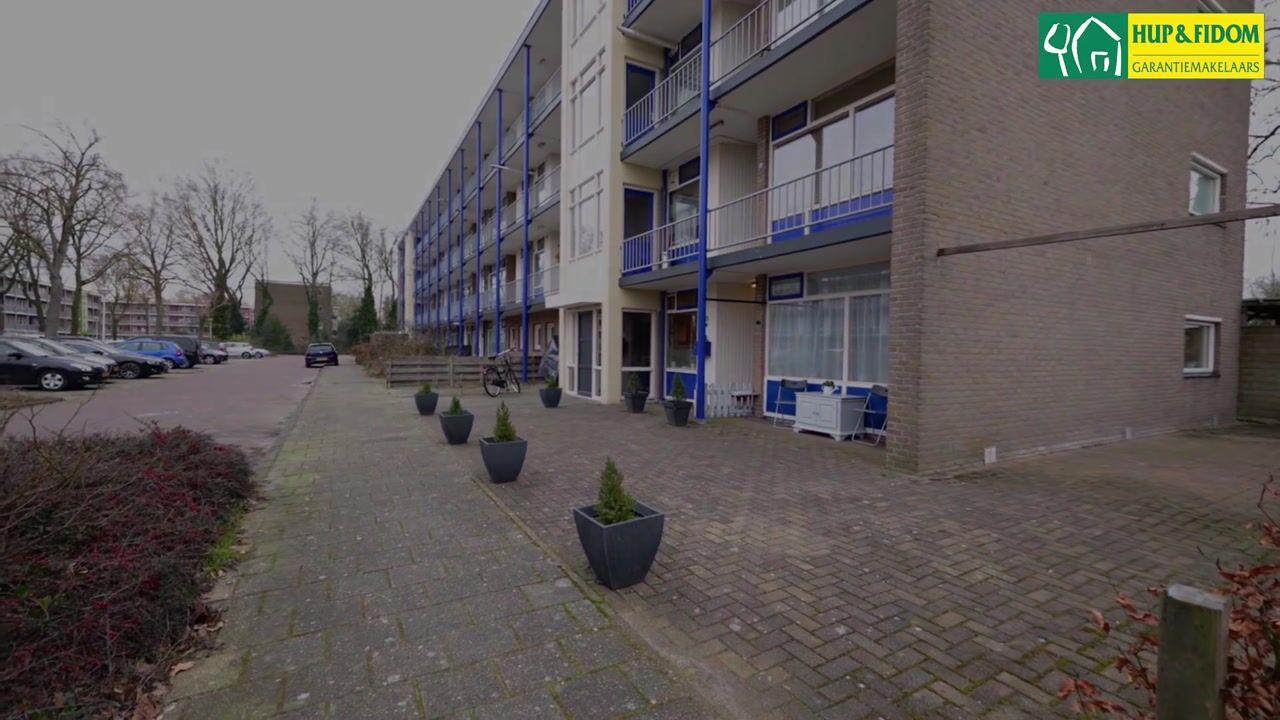 Video of De Reiger 213