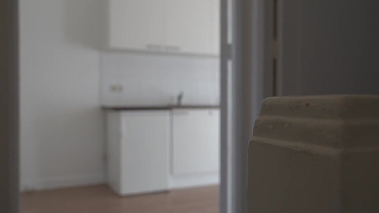 Video of Aelbrechtskade 155-A02