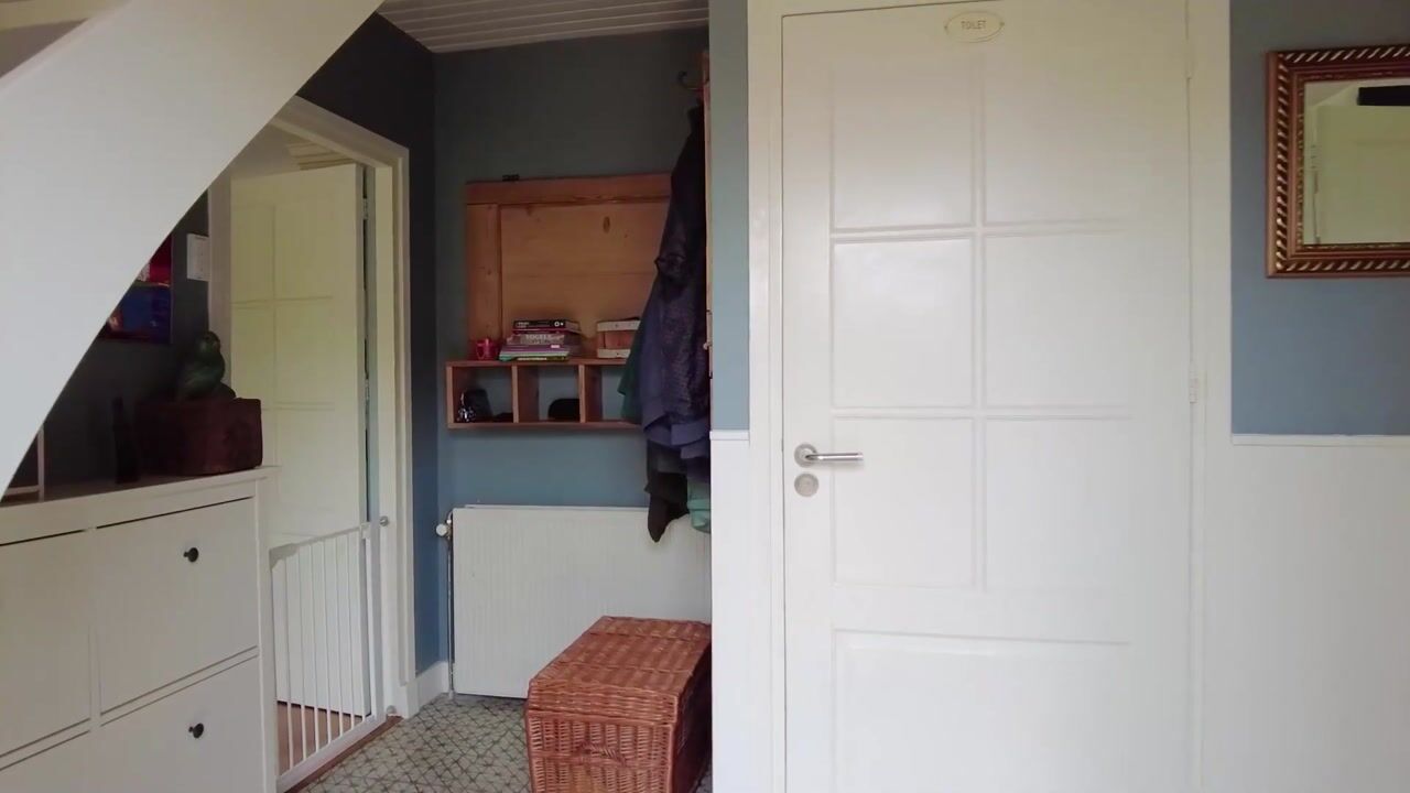 Video of Botshol 9