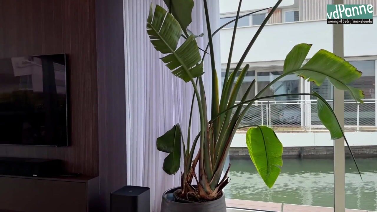 Video of Kretalaan 59