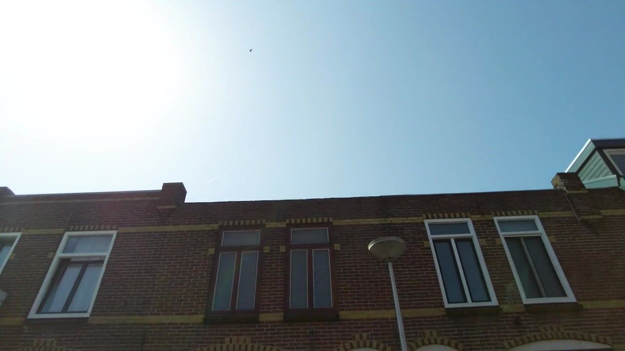 Video van Van Reedestraat 14