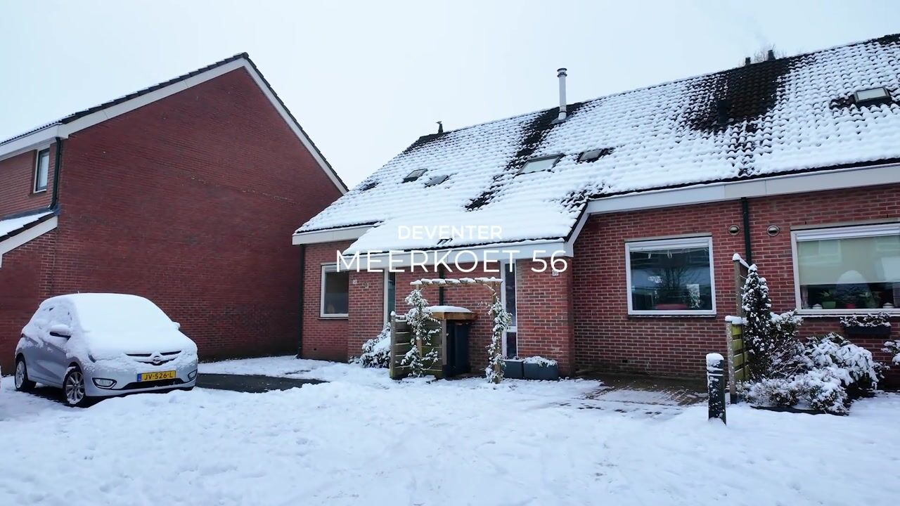 Video of Meerkoet 56