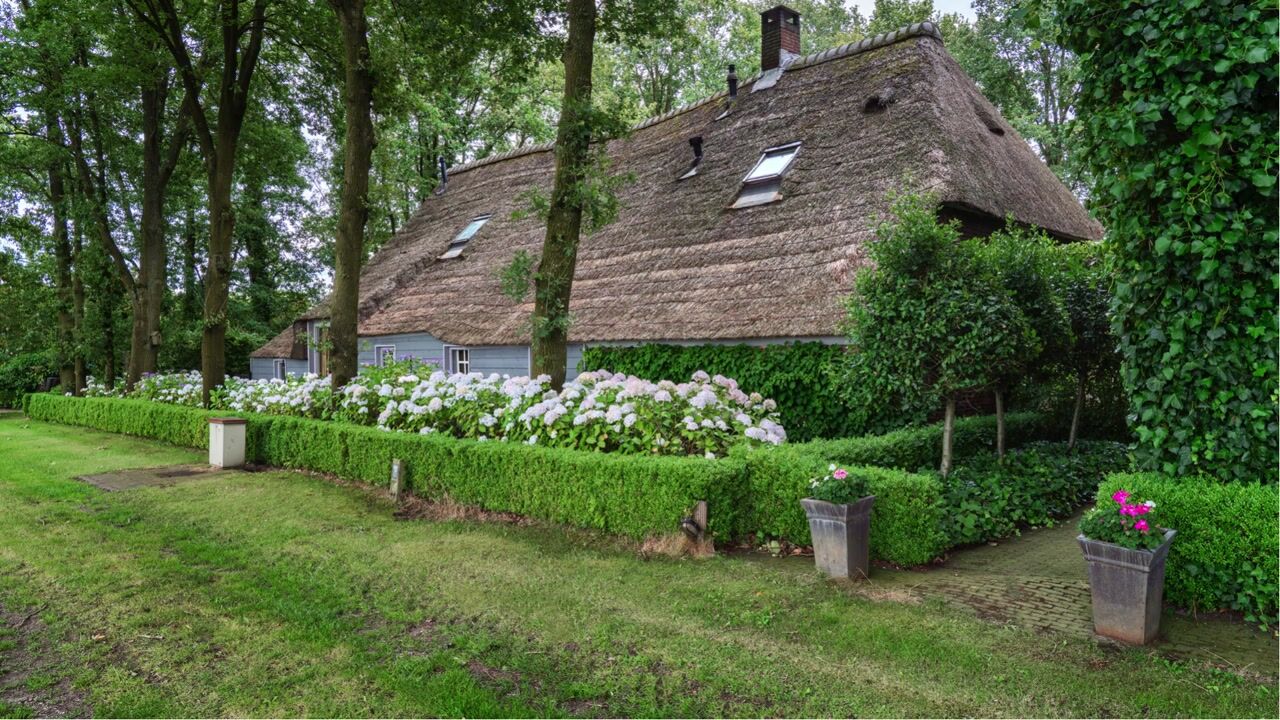 Video of Kaathoven 3