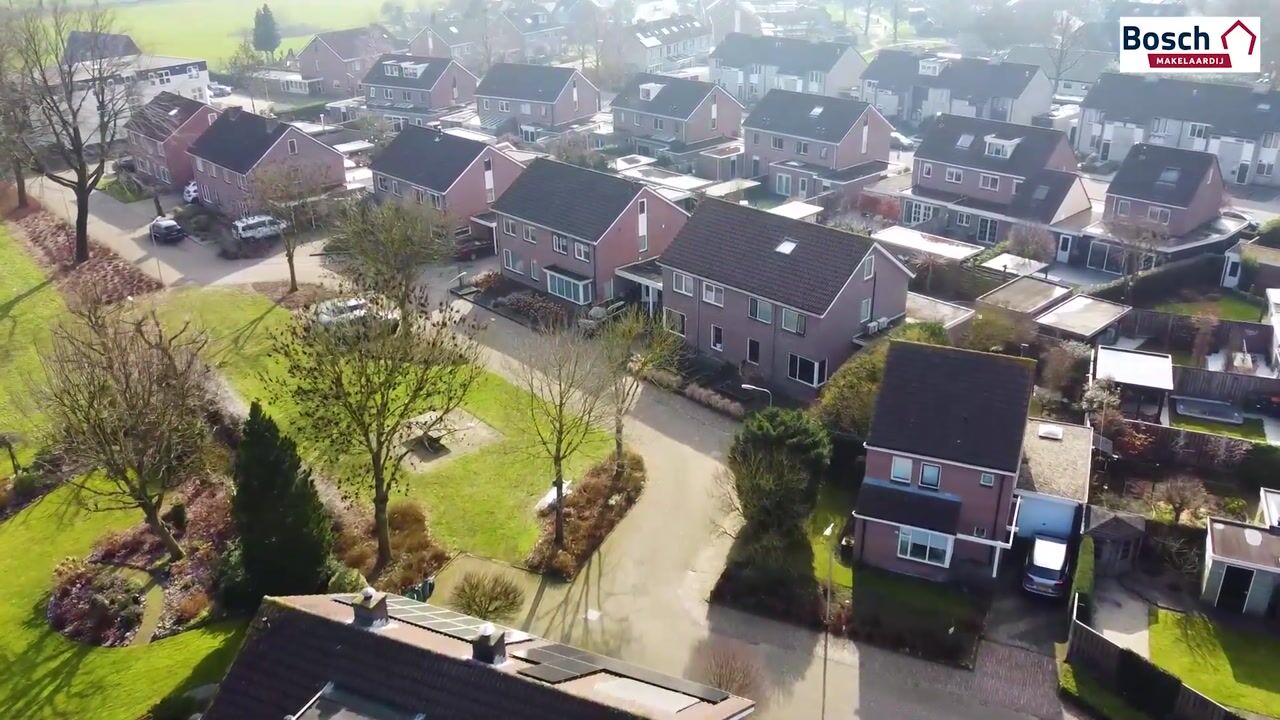 Video van Koolmees 17