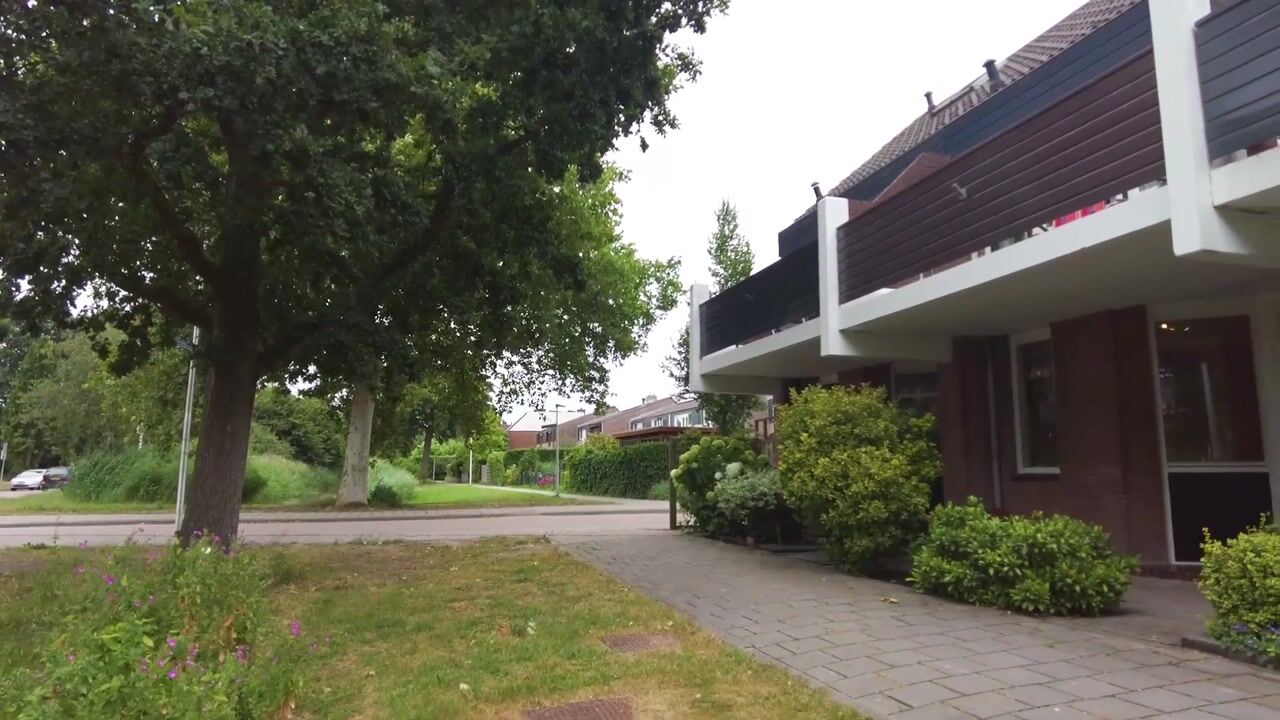 Video van Pluimzeggekreek 2