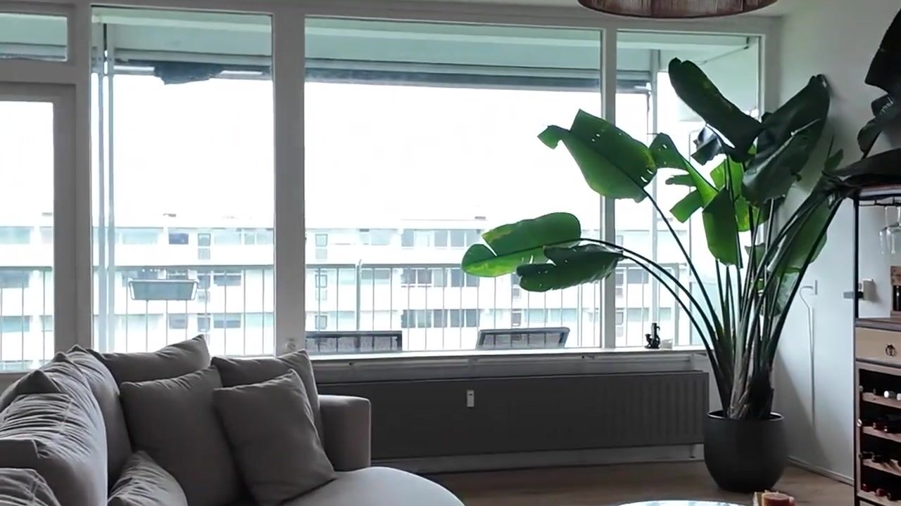 Video van Frederik van Eedenplaats 309
