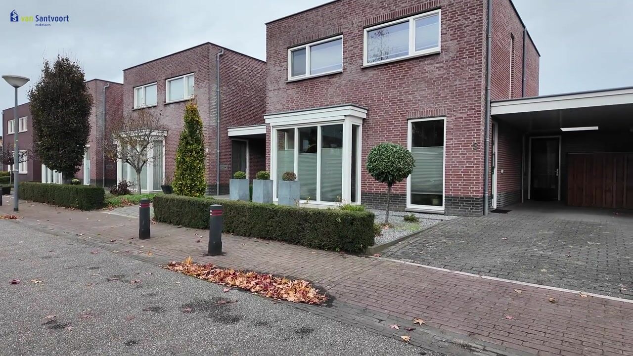 Video of Goudhaantje 3