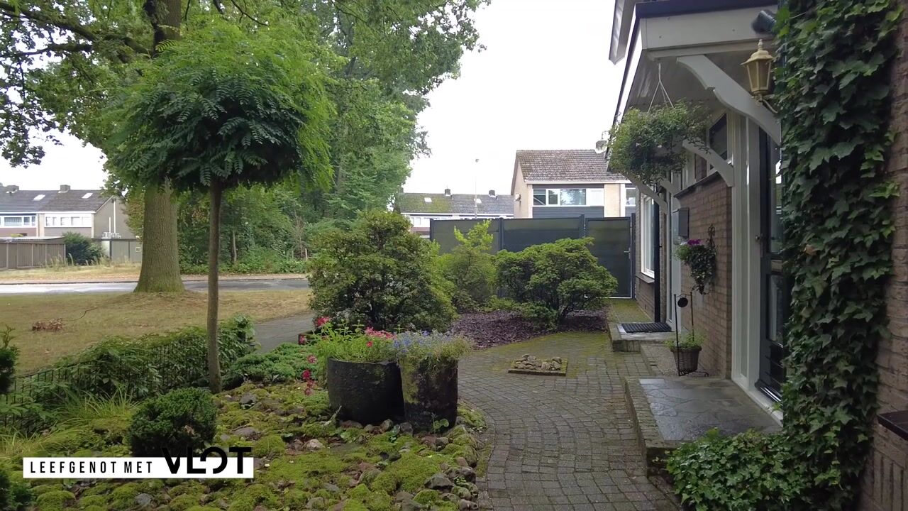 Video van Wethouder Hassingstraat 41