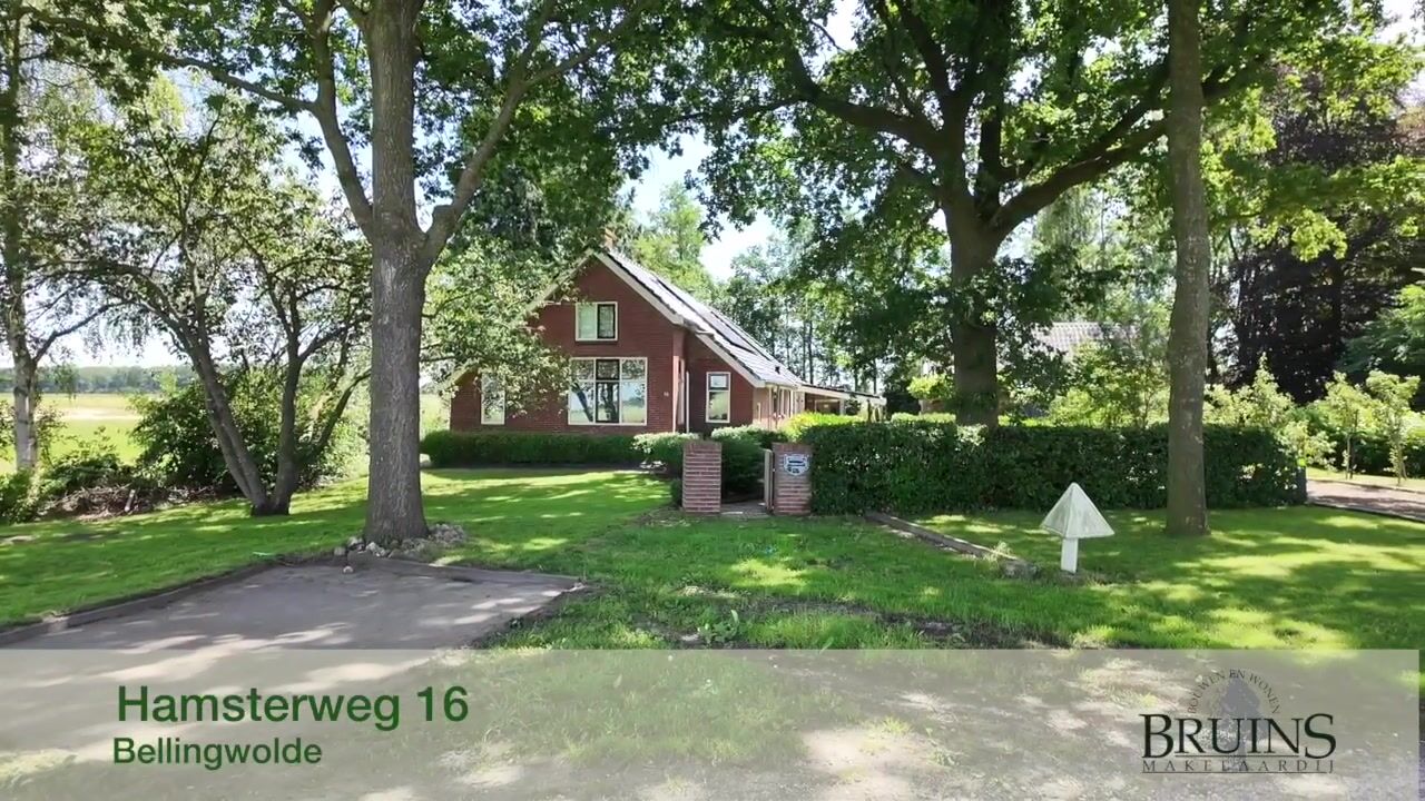Video van Hamsterweg 16