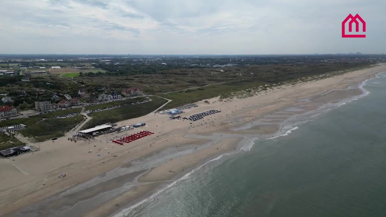 Video van Ligusterweg 1