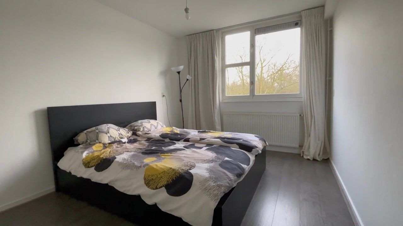 Video van Wamelstraat 135