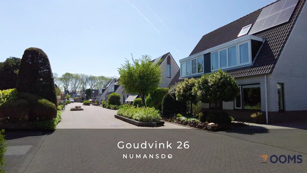 Video of Goudvink 26