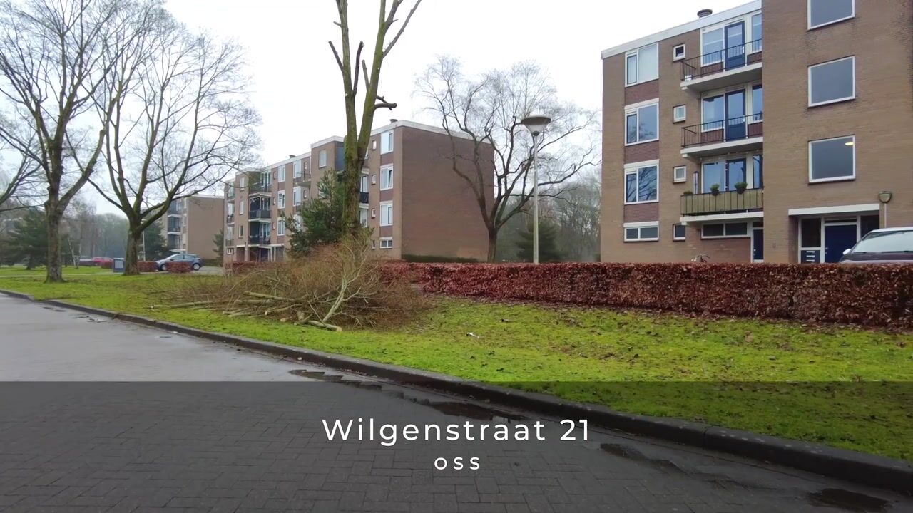 Video van Wilgenstraat 21