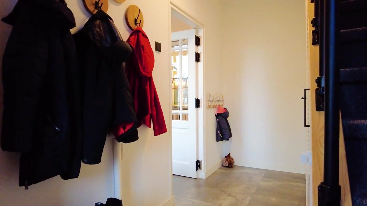 Video van Stadhouderslaan 49