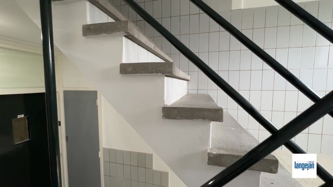 Video of Ruigenhoek 29