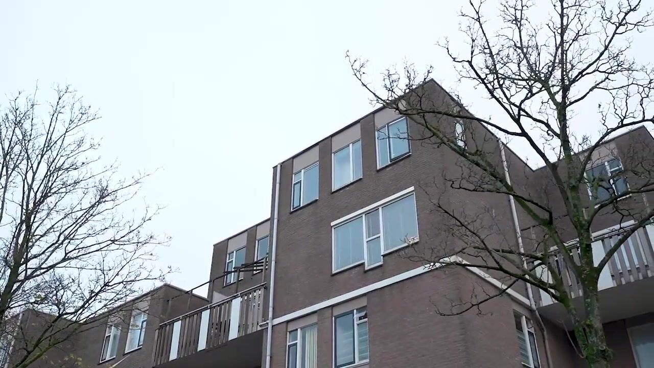 Video van Pierre Kemphove 23