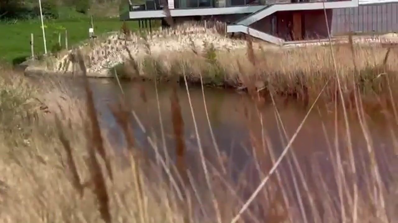 Bekijk video van Beachvilla aan de Otterschelp