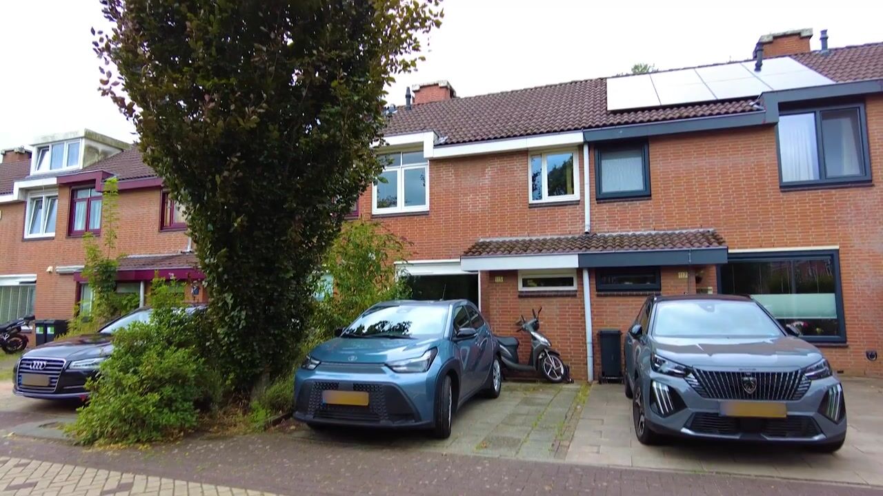Video van Griend 115