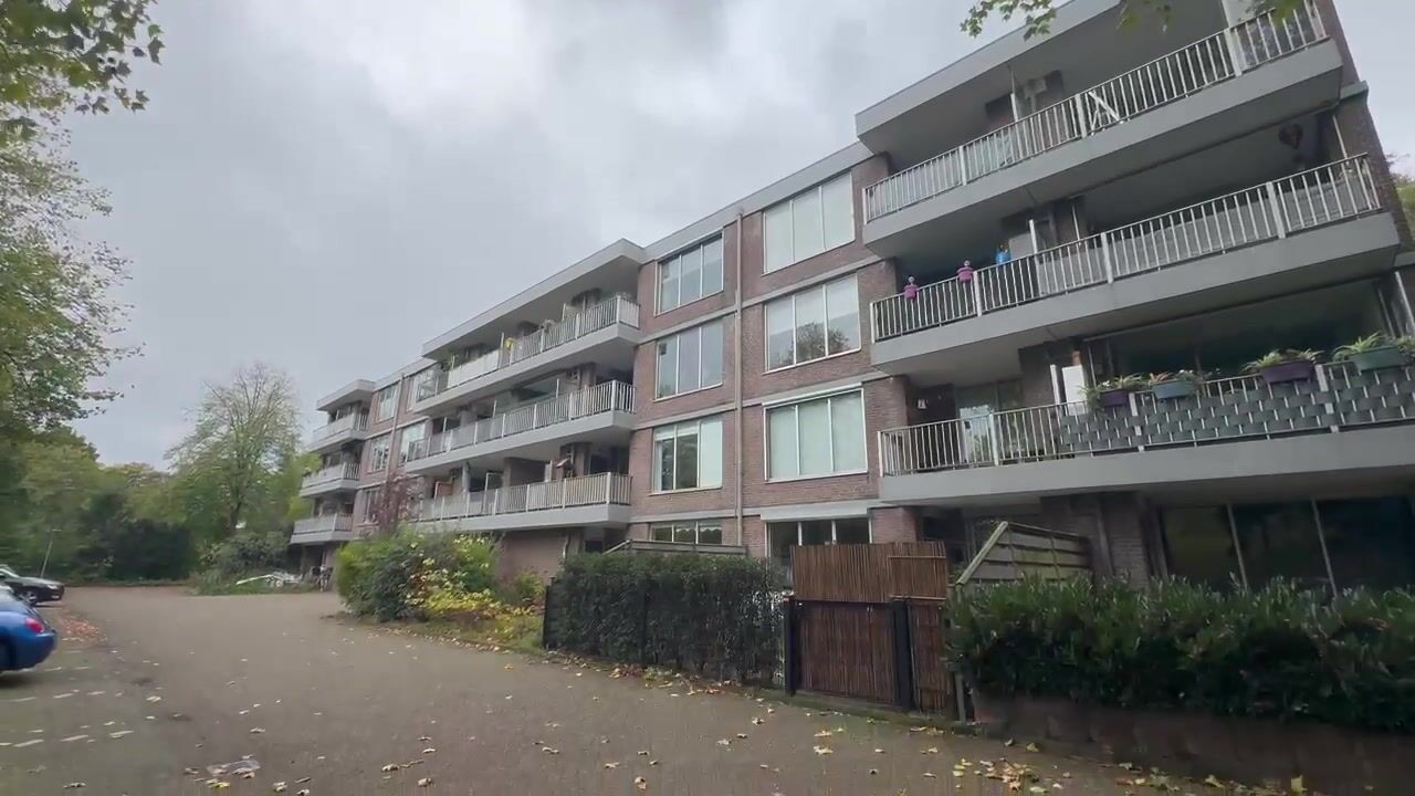 Video van Sibeliuspark 755