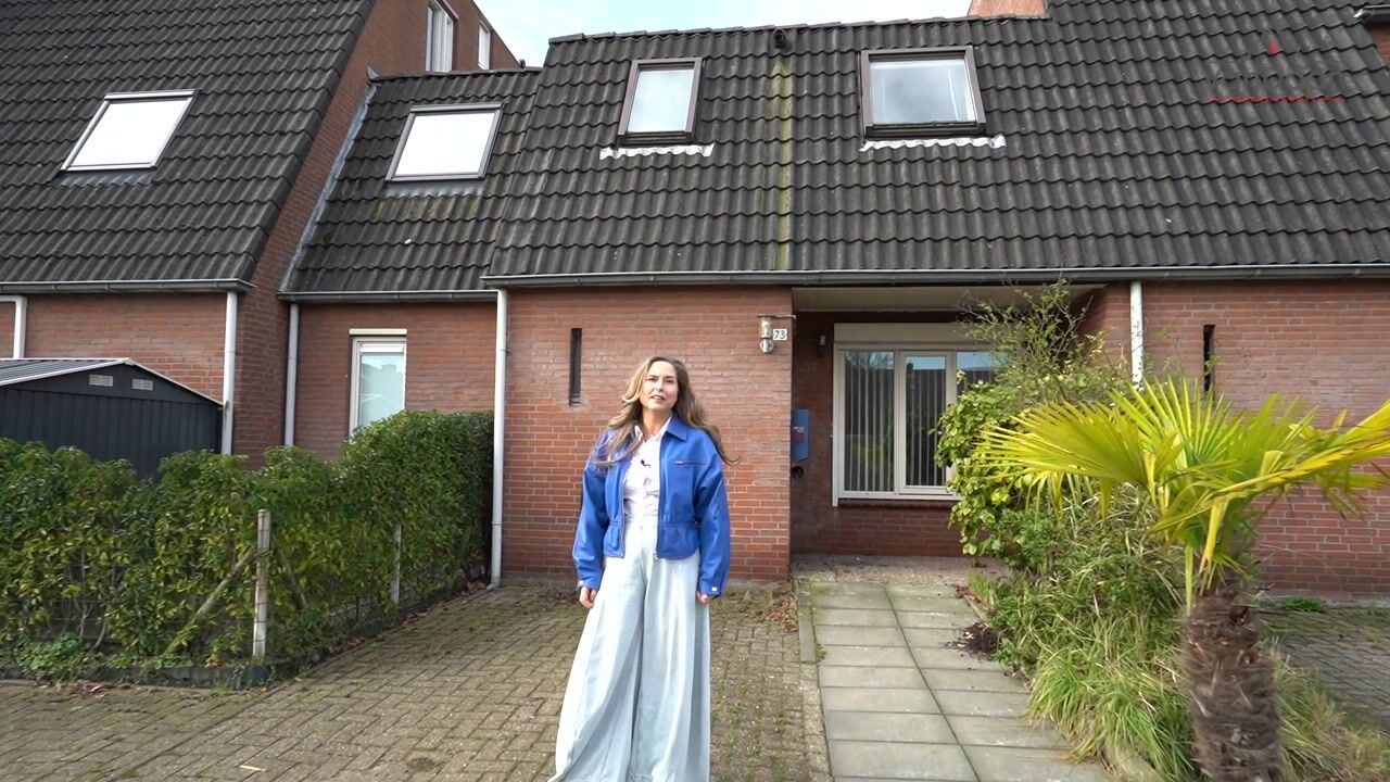 Video of Torenvalk 73