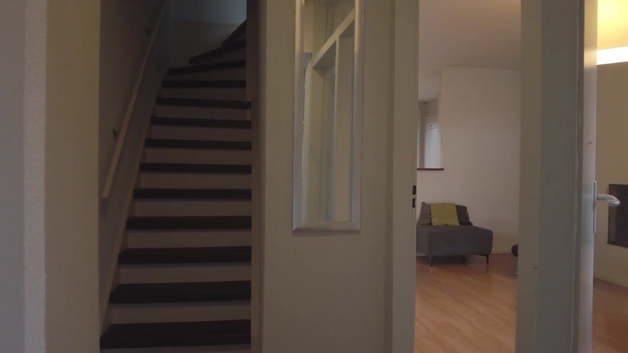 Video van Fazantenkamp 44