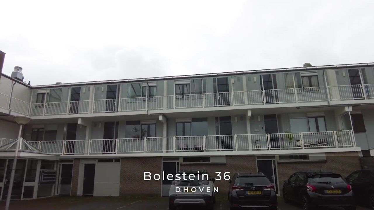 Video of Bolestein 36