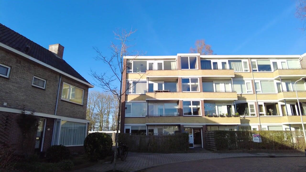 Video van Saksenhorst 17-C