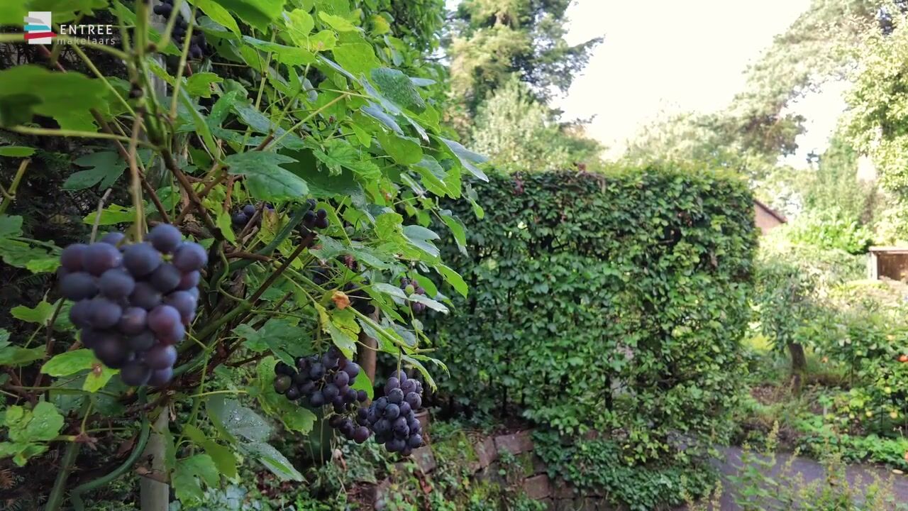 Video van Eekhoornlaan 3