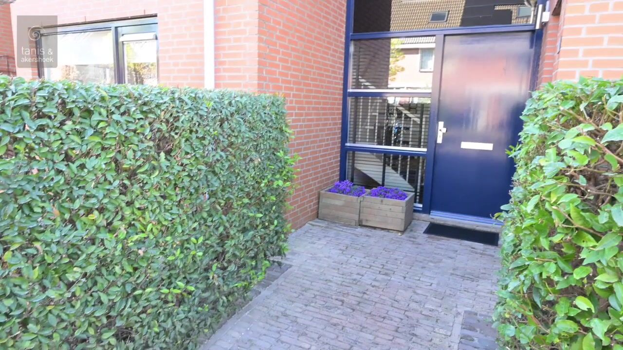 Video van Papenweide 10
