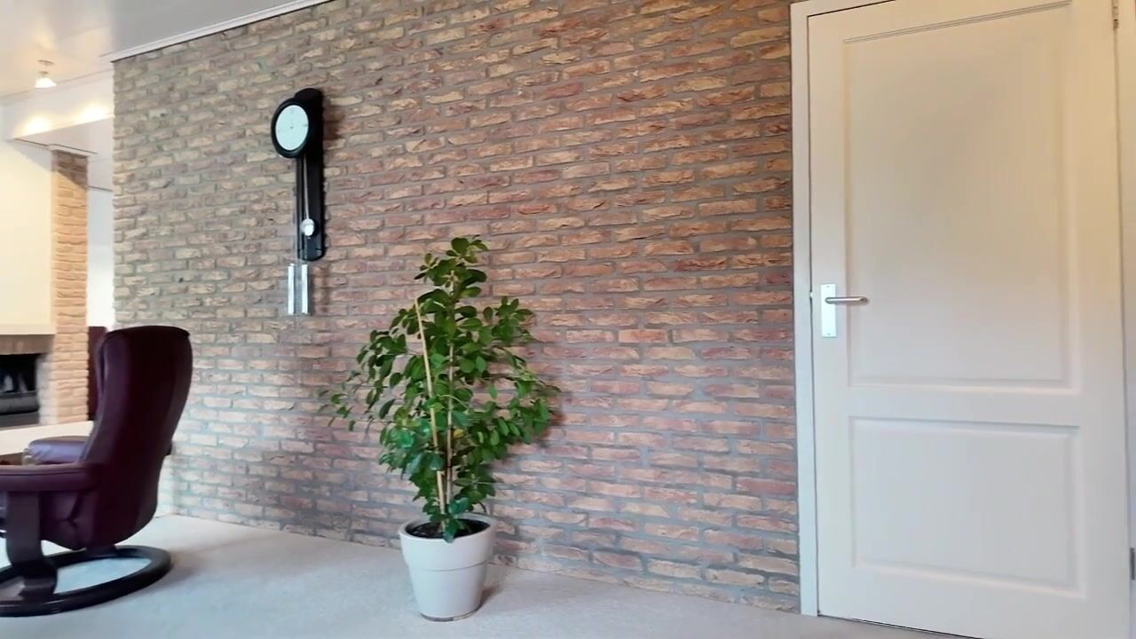 Video van Meeuwenlaan 2